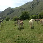 Feudo Galefona *