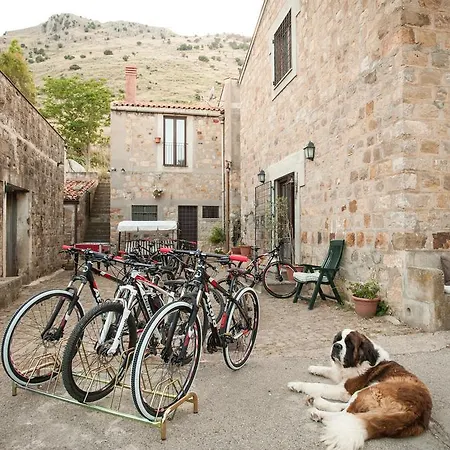 Feudo Galefona Farm stay Gratteri