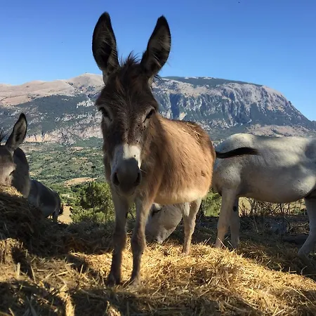 Feudo Galefona Farm stay Gratteri