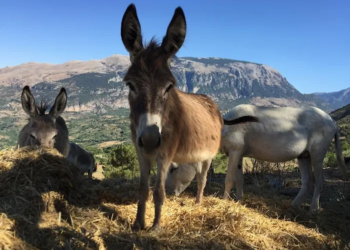 Feudo Galefona Alojamento de Turismo Rural Gratteri