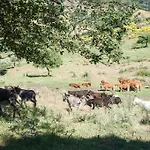 Feudo Galefona * Gratteri