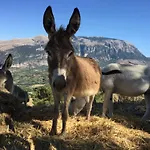 Feudo Galefona Feriegård Gratteri